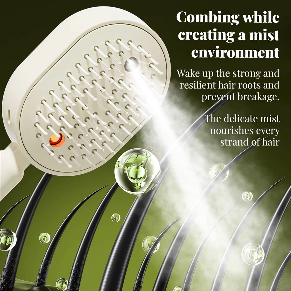Steam Hair Brush