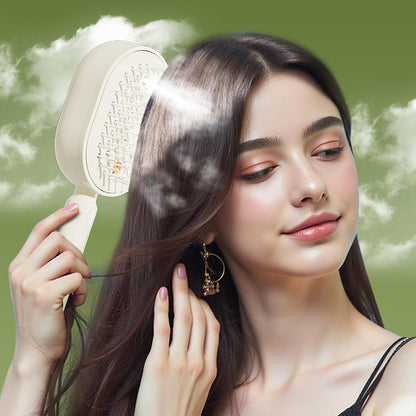 Steam Hair Brush